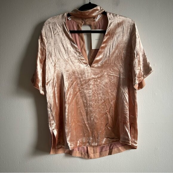 ALC Sz 6 NWT Blaise Dusty Pink Velvet Chocker Relaxed Party Blouse - Picture 2 of 12